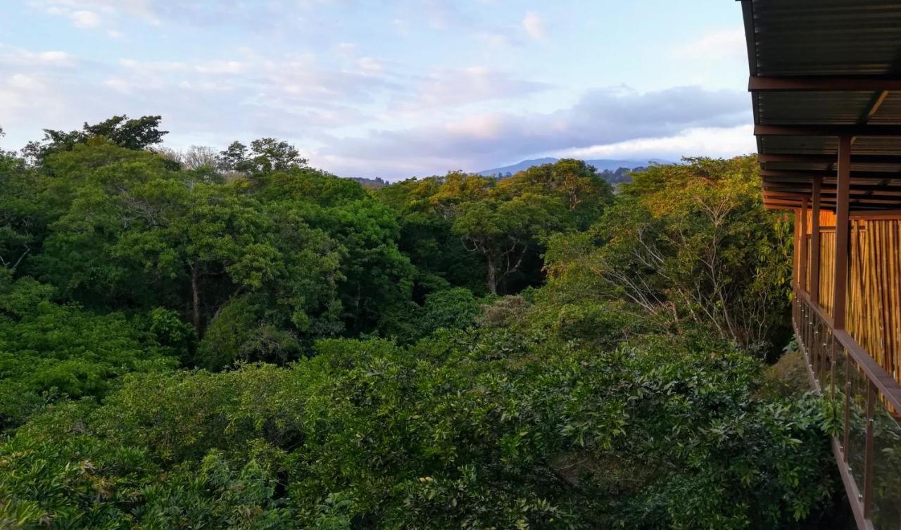 Hotel Pibi Boreal Alajuela Exteriér fotografie