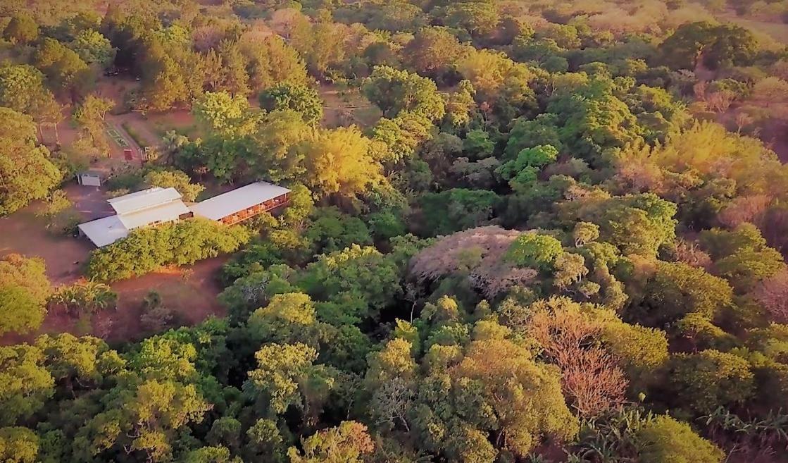 Hotel Pibi Boreal Alajuela Exteriér fotografie