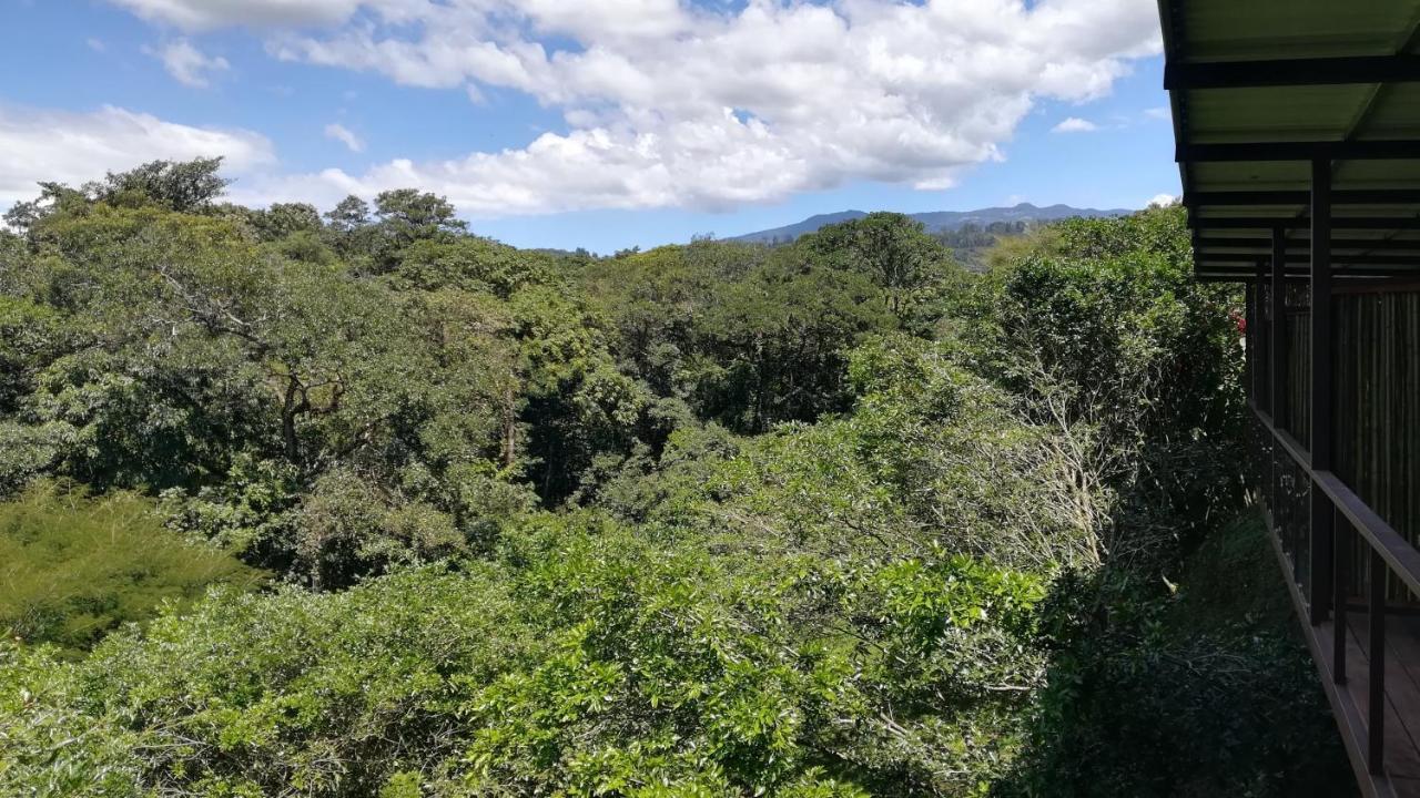 Hotel Pibi Boreal Alajuela Exteriér fotografie