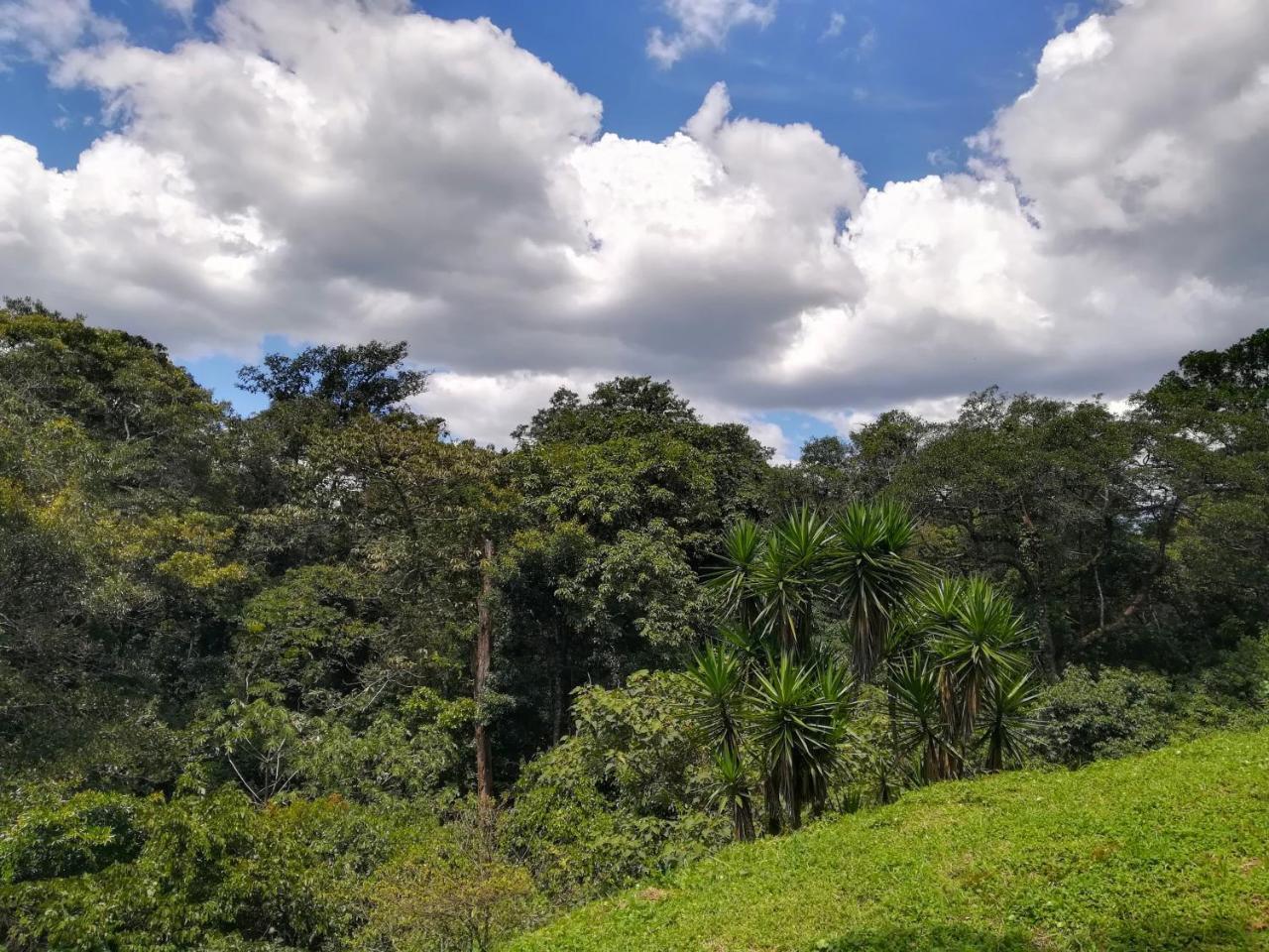 Hotel Pibi Boreal Alajuela Exteriér fotografie